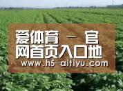 种植基地五(图1)