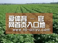 种植基地五