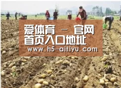 种植基地一