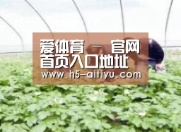 种植基地三