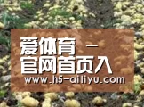 种植基地八(图1)