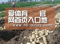 种植基地八