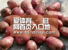 产品展示标题5(图1)